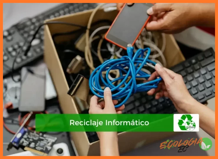 2. Canales Especializados de Reciclaje