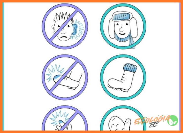 2. Mecanismos de protección contra las heladas