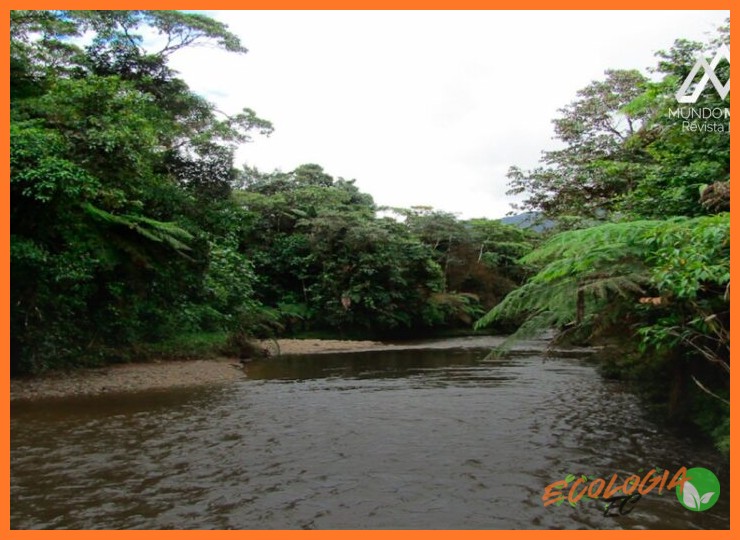 Ecosistemas y Biodiversidad Única
