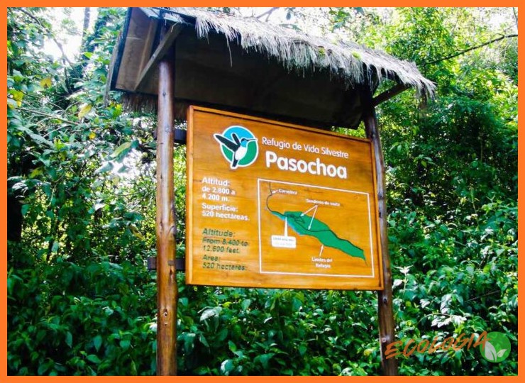 El Refugio de Vida Silvestre Pasochoa - El Refugio de