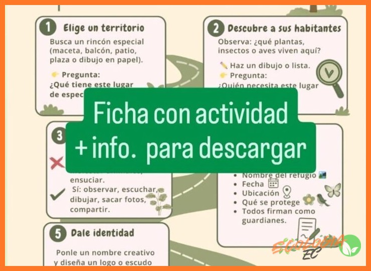 Información Práctica para la Visita