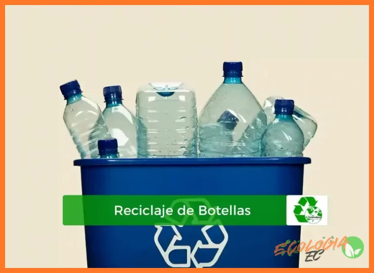 ¿Todos los plásticos se reciclan igual?